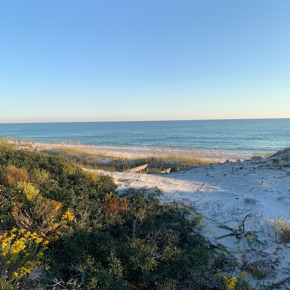 Meet your Posher ❤️ - Picture 3 of 7